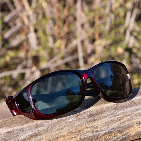 cocoon sunglasses website.